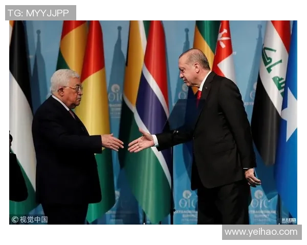 中国与巴勒斯坦的历史渊源与发展轨迹探讨