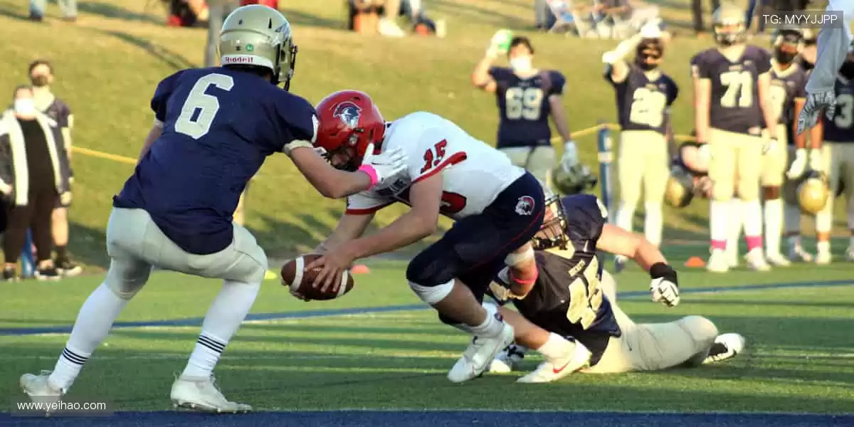 从训练到夺冠，我们与你同在！🏅